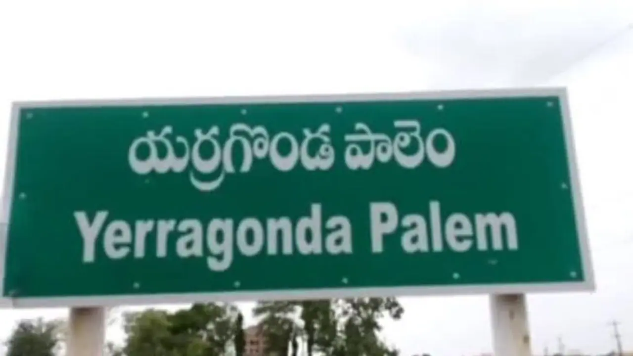 యర్రగొండపాలెం అసెంబ్లీ ఎన్నికల ఫలితాలు 2024 