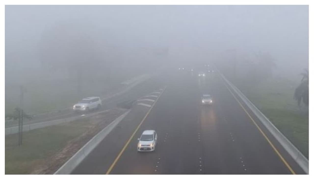 മൂടല്മഞ്ഞ് പുതച്ച് യുഎഇ, റെഡ്, യെല്ലോ അലര്ട്ടുകള് പ്രഖ്യാപിച്ചു; ഡ്രൈവര്മാര്ക്ക് ജാഗ്രതാ നിര്ദ്ദേശം മൂടല്മഞ്ഞ് പുതച്ച് യുഎഇ, റെഡ്, യെല്ലോ അലര്ട്ടുകള് പ്രഖ്യാപിച്ചു; ഡ്രൈവര്മാര്ക്ക് ജാഗ്രതാ നിര്ദ്ദേശം
