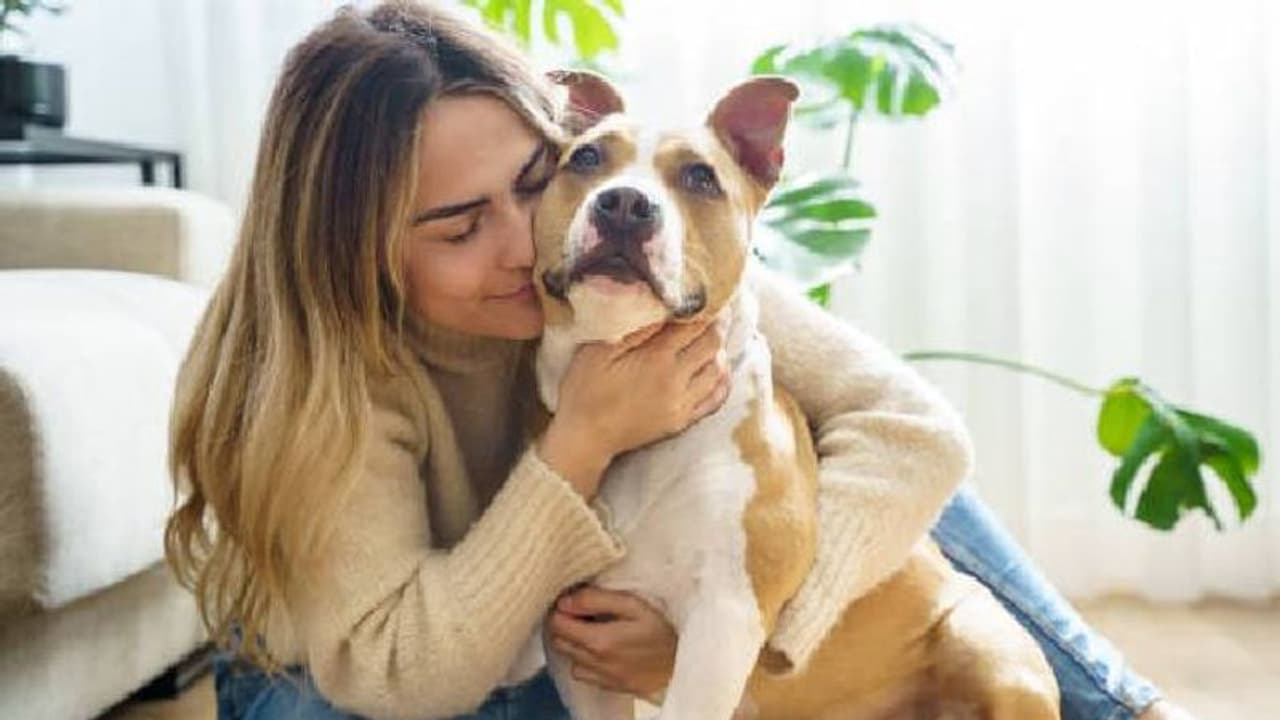 സ്ത്രീയെ നായയാക്കി ഡിഎൻഎ ഫലം; ടെസ്റ്റിന് പോയ ചാനൽസംഘം ആകെ ഞെട്ടി സ്ത്രീയെ നായയാക്കി ഡിഎൻഎ ഫലം; ടെസ്റ്റിന് പോയ ചാനൽസംഘം ആകെ ഞെട്ടി