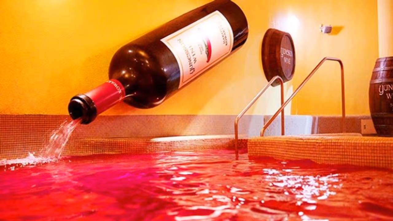 வினோதமான தீம் பார்க்.. மக்கள் Tea.. Coffee.. Wineல் குளிக்கலாமாம் இது எந்த நாட்டில் இருக்கு தெரியுமா? வினோதமான தீம் பார்க்.. மக்கள் Tea.. Coffee.. Wineல் குளிக்கலாமாம் இது எந்த நாட்டில் இருக்கு தெரியுமா?