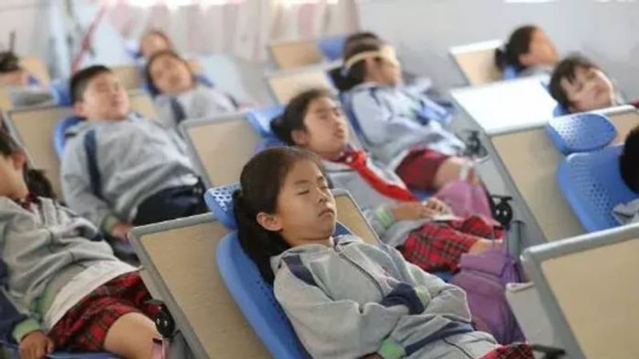 ഇനിയല്പം ഉറക്കമാവാം; സ്കൂളുകളിൽ ഉച്ചഭക്ഷണത്തിന് പിന്നാലെ ഉറങ്ങാനുള്ള സൗകര്യം, കൊള്ളാമല്ലേ ചൈനയിലെ ഐഡിയ ഇനിയല്പം ഉറക്കമാവാം; സ്കൂളുകളിൽ ഉച്ചഭക്ഷണത്തിന് പിന്നാലെ ഉറങ്ങാനുള്ള സൗകര്യം, കൊള്ളാമല്ലേ ചൈനയിലെ ഐഡിയ