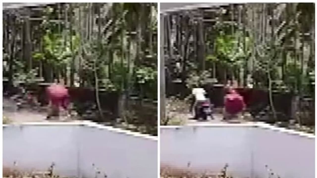 ജാ​ഗ്രതൈ! 'അവർ' വീണ്ടും എത്തി! അന്വേഷണം ഊർജിതമാക്കി പൊലീസ്, ബൈക്കിലെത്തി മാല പൊട്ടിക്കല്‍ കാസര്‍കോട്ട് സജീവം