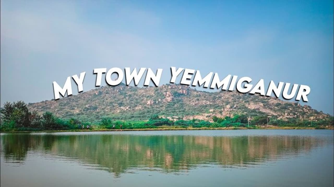 ఎమ్మిగనూరు అసెంబ్లీ ఎన్నికల ఫలితాలు 2024