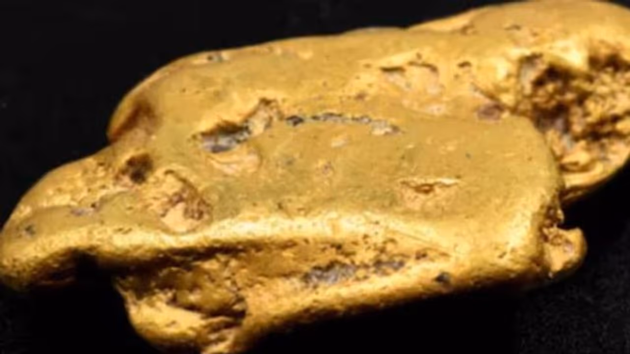 31 ലക്ഷത്തിന്റെ സ്വർണ്ണക്കട്ടി, 67 കാരൻ നടത്തിയത് വൻ നിധിവേട്ട, എല്ലാത്തിനും സഹായമായി ഒറ്റ മെറ്റൽ ഡിറ്റക്ടർ 31 ലക്ഷത്തിന്റെ സ്വർണ്ണക്കട്ടി, 67 കാരൻ നടത്തിയത് വൻ നിധിവേട്ട, എല്ലാത്തിനും സഹായമായി ഒറ്റ മെറ്റൽ ഡിറ്റക്ടർ