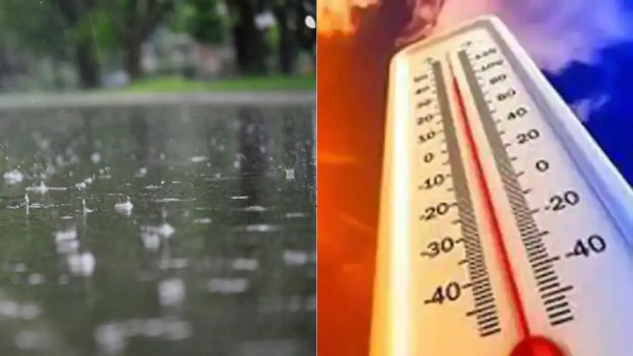 Kerala Weather Update: Light rainfall expected in 8 districts; temperature to rise in 3 districts; Check