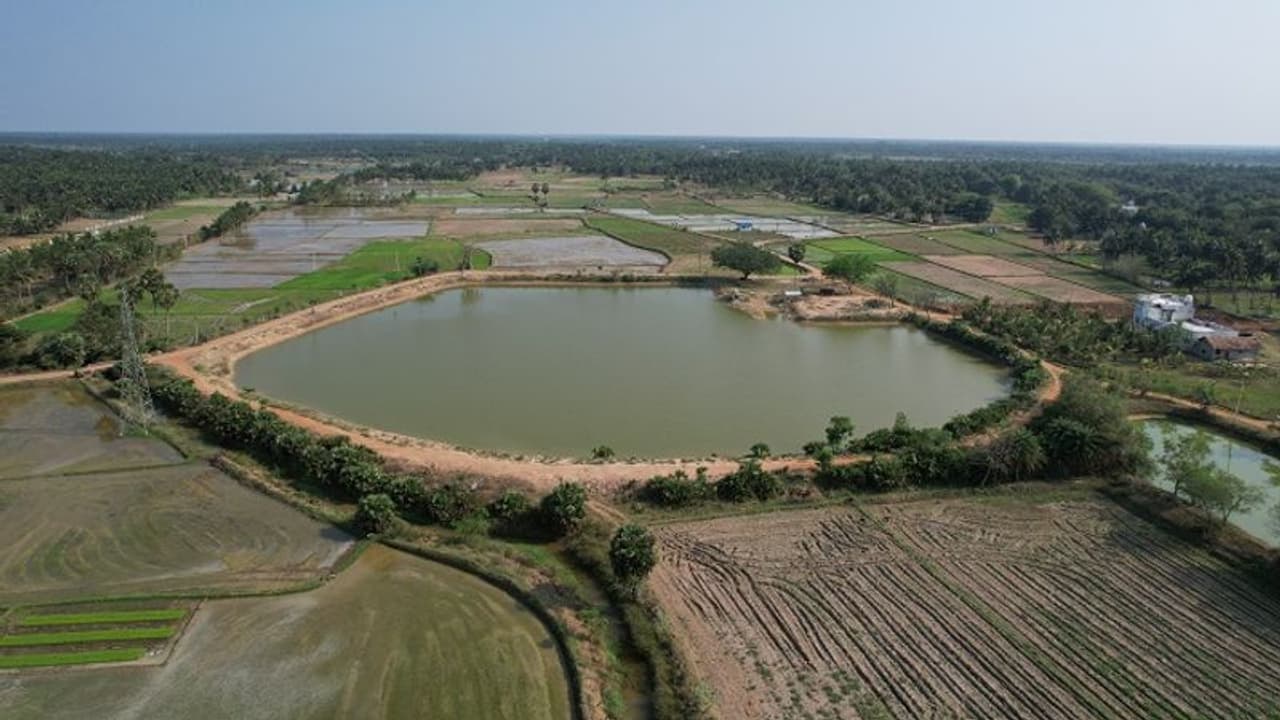 ಹಾಸನ: ಕೆರೆಯಲ್ಲಿ ಈಜಲು ಹೋಗಿದ್ದ ನಾಲ್ವರು ಮಕ್ಕಳು ಸಾವು ಹಾಸನ: ಕೆರೆಯಲ್ಲಿ ಈಜಲು ಹೋಗಿದ್ದ ನಾಲ್ವರು ಮಕ್ಕಳು ಸಾವು