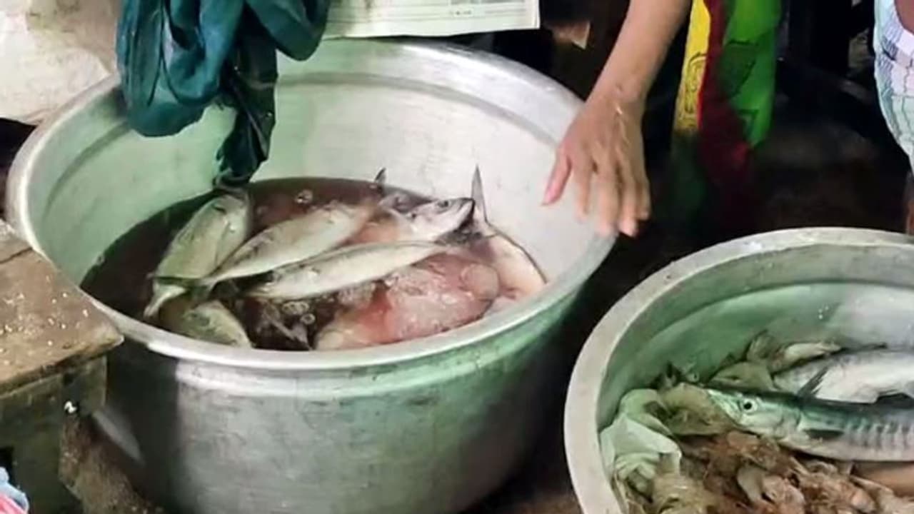 പുന്നമൂട് മാർക്കറ്റിൽ വിൽപനയ്ക്ക് എത്തിച്ചത് 35 കിലോ പഴകിയ മത്സ്യം പുന്നമൂട് മാർക്കറ്റിൽ വിൽപനയ്ക്ക് എത്തിച്ചത് 35 കിലോ പഴകിയ മത്സ്യം