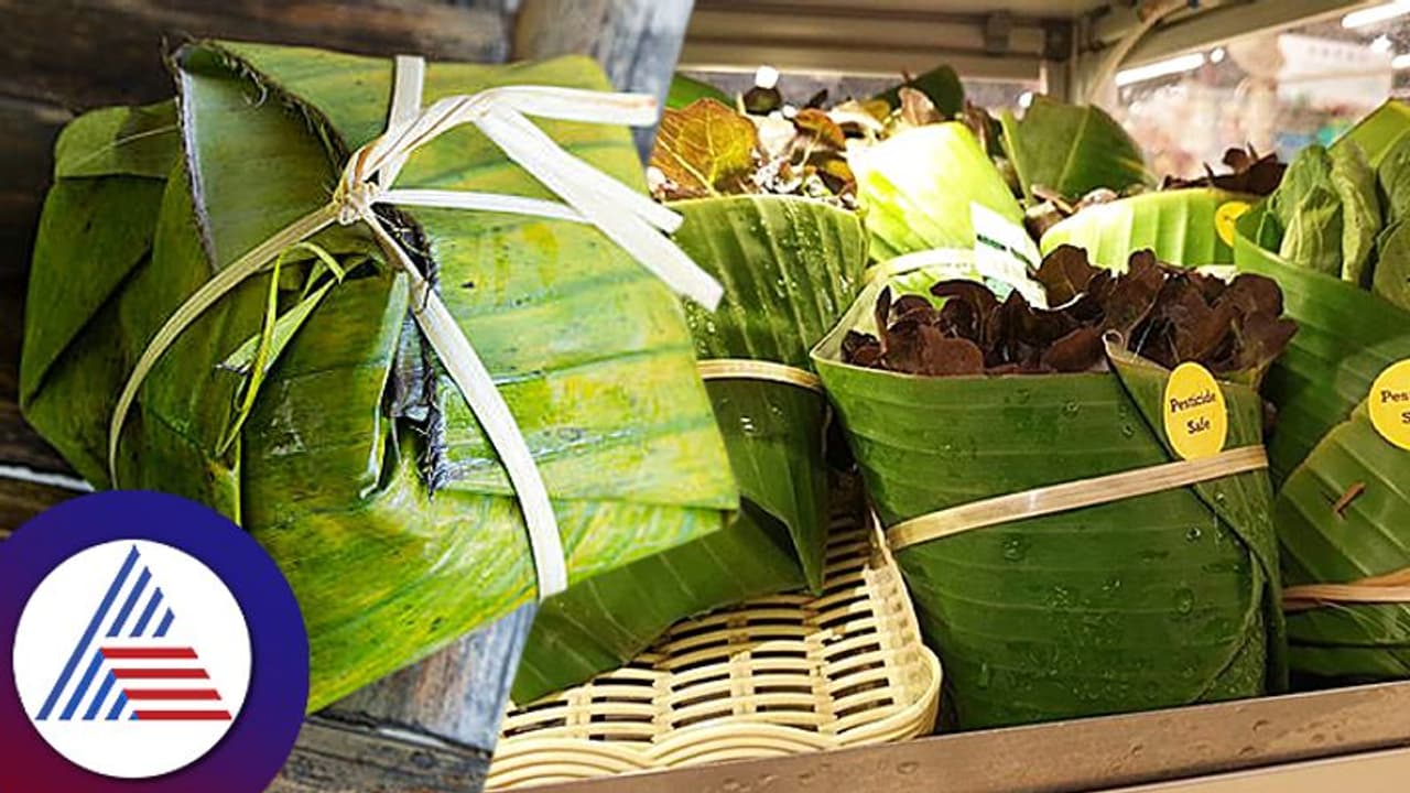 ಪ್ಲ್ಯಾಸ್ಟಿಕ್ ಬದಲಿಗೆ ಬಾಳೆಎಲೆ ಪ್ಯಾಕೇಜಿಂಗ್ ಬಳಸುತ್ತಿರೋ ವಿಯೆಟ್ನಾಂ, ಥಾಯ್ಲೆಂಡ್; ಈ ಕ್ರಮಕ್ಕೆ ನೆಟ್ಟಿಗರ ಶ್ಲಾಘನೆ ಪ್ಲ್ಯಾಸ್ಟಿಕ್ ಬದಲಿಗೆ ಬಾಳೆಎಲೆ ಪ್ಯಾಕೇಜಿಂಗ್ ಬಳಸುತ್ತಿರೋ ವಿಯೆಟ್ನಾಂ, ಥಾಯ್ಲೆಂಡ್; ಈ ಕ್ರಮಕ್ಕೆ ನೆಟ್ಟಿಗರ ಶ್ಲಾಘನೆ