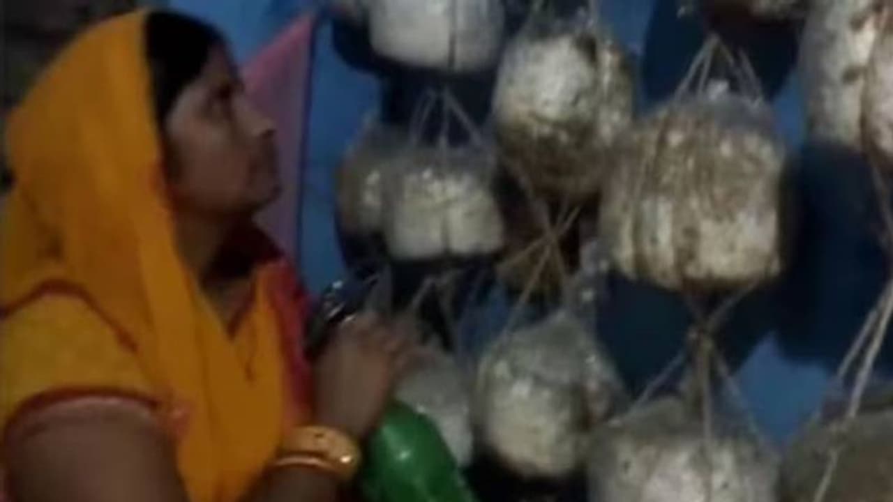 സ്ഥലമില്ല, ബെഡ്‍റൂമിൽ കൂൺ വളർത്തി, യുവതി നേടുന്നത് ദിവസം 2000 രൂപ