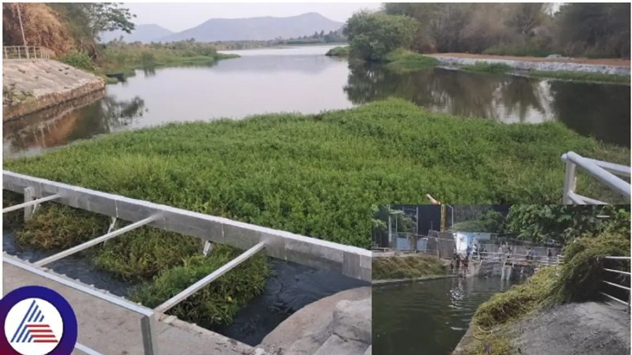 ಕಾವೇರಿ ಪೈಪ್ಲೈನ್ ದುರಸ್ತಿಗೊಳಿಸಿ, ಬೆಂಗಳೂರಿಗೆ 1,000 ಎಂಎಲ್ಡಿ ನೀರು ಸರಬರಾಜ ವ್ಯತ್ಯಯ ತಪ್ಪಿಸಿದ ಜಲಮಂಡಳಿ ಕಾವೇರಿ ಪೈಪ್ಲೈನ್ ದುರಸ್ತಿಗೊಳಿಸಿ, ಬೆಂಗಳೂರಿಗೆ 1,000 ಎಂಎಲ್ಡಿ ನೀರು ಸರಬರಾಜ ವ್ಯತ್ಯಯ ತಪ್ಪಿಸಿದ ಜಲಮಂಡಳಿ