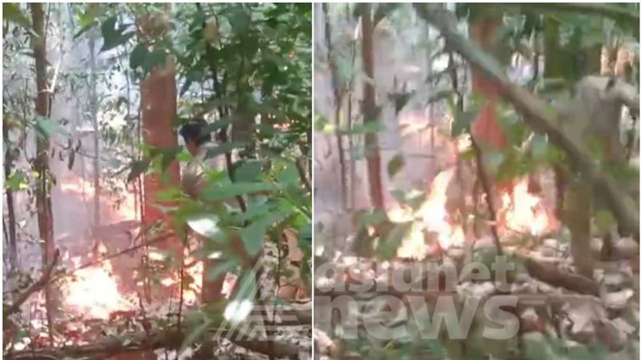 താമരശ്ശേരി ചുരത്തില് വന് തീ പിടിത്തം; ചിപ്പിലിത്തോട് അടിക്കാടിന് തീപിടിച്ചു താമരശ്ശേരി ചുരത്തില് വന് തീ പിടിത്തം; ചിപ്പിലിത്തോട് അടിക്കാടിന് തീപിടിച്ചു