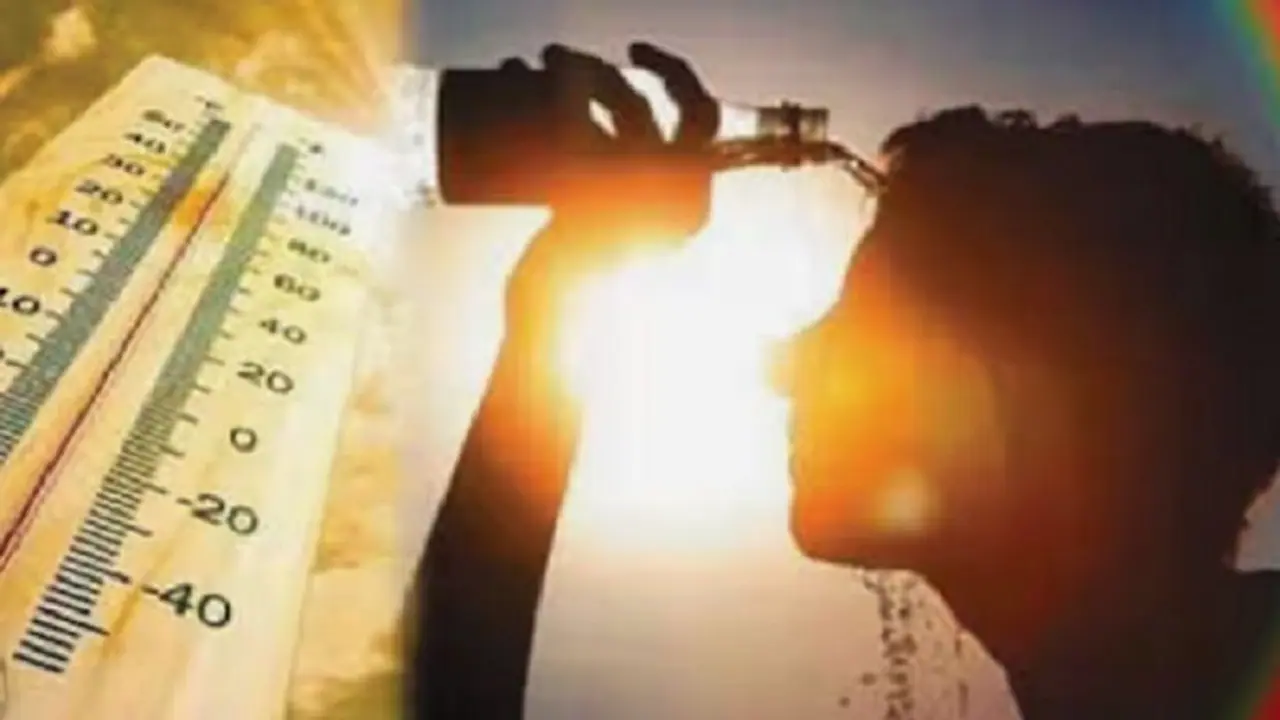 ಬಿಸಿಲು ಹೆಚ್ಚಳ ಬೆನ್ನಲ್ಲೇ ರಾಜ್ಯದಲ್ಲಿ ಸಾಲು ಸಾಲು ರೋಗ: ಉಷ್ಣದಿಂದ ಪಾರಾಗಲು ಹೀಗೆ ಮಾಡಿ! ಬಿಸಿಲು ಹೆಚ್ಚಳ ಬೆನ್ನಲ್ಲೇ ರಾಜ್ಯದಲ್ಲಿ ಸಾಲು ಸಾಲು ರೋಗ: ಉಷ್ಣದಿಂದ ಪಾರಾಗಲು ಹೀಗೆ ಮಾಡಿ!