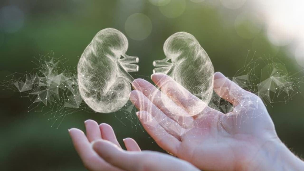 World Kidney Day 2025: വൃക്കകളെ ആരോ​ഗ്യത്തോടെ നിലനിർത്താൻ സഹായിക്കുന്ന ശീലങ്ങൾ 