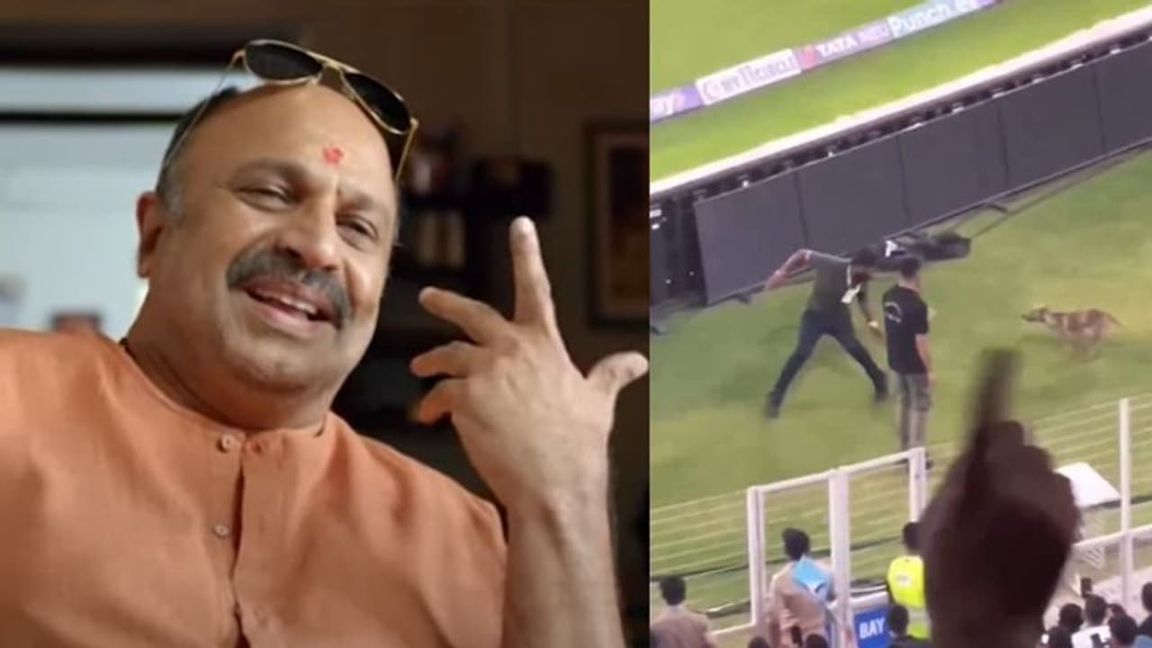 ആഹാ...സാക്ഷാൽ മെസി ചെയ്യുമോ ഇതുപോലെ, തടയാൻ നോക്കിയവരെയെല്ലാം ഡ്രിബിള് ചെയ്ത് സ്റ്റേഡിയത്തിലിറങ്ങിയ നായ ആഹാ...സാക്ഷാൽ മെസി ചെയ്യുമോ ഇതുപോലെ, തടയാൻ നോക്കിയവരെയെല്ലാം ഡ്രിബിള് ചെയ്ത് സ്റ്റേഡിയത്തിലിറങ്ങിയ നായ