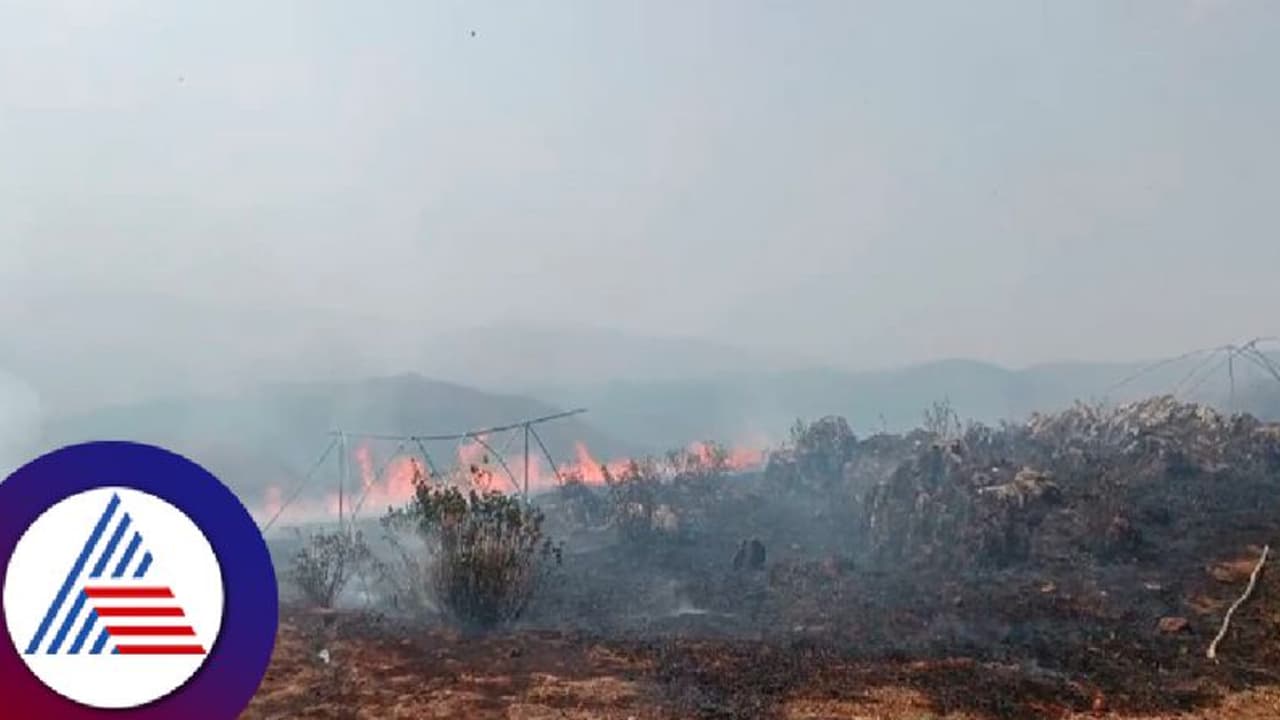 ದತ್ತಪೀಠ ಪರಿಸರದಲ್ಲಿ ಭಾರೀ ಬೆಂಕಿ; ಕುರುಚಲು , ಹಲ್ಲುಗಾವಲು ಸುಟ್ಟು ಕರಕಲು! ದತ್ತಪೀಠ ಪರಿಸರದಲ್ಲಿ ಭಾರೀ ಬೆಂಕಿ; ಕುರುಚಲು , ಹಲ್ಲುಗಾವಲು ಸುಟ್ಟು ಕರಕಲು!