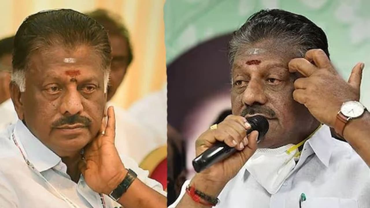 Lok Sabha elections 2024: 5 named 'Panneerselvam' file nominations as Independents in Tamil Nadu