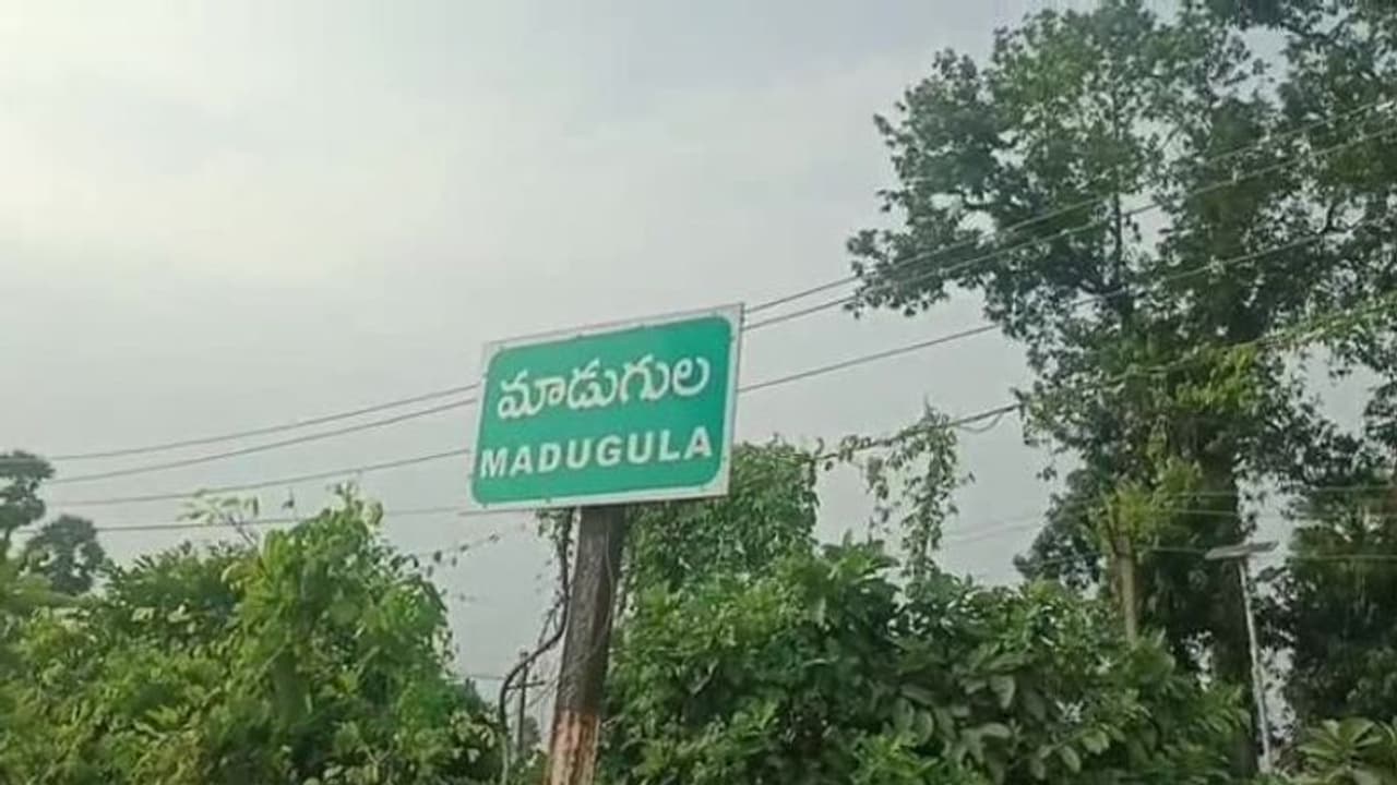 మాడుగుల అసెంబ్లీ ఎన్నికల ఫలితాలు 2024