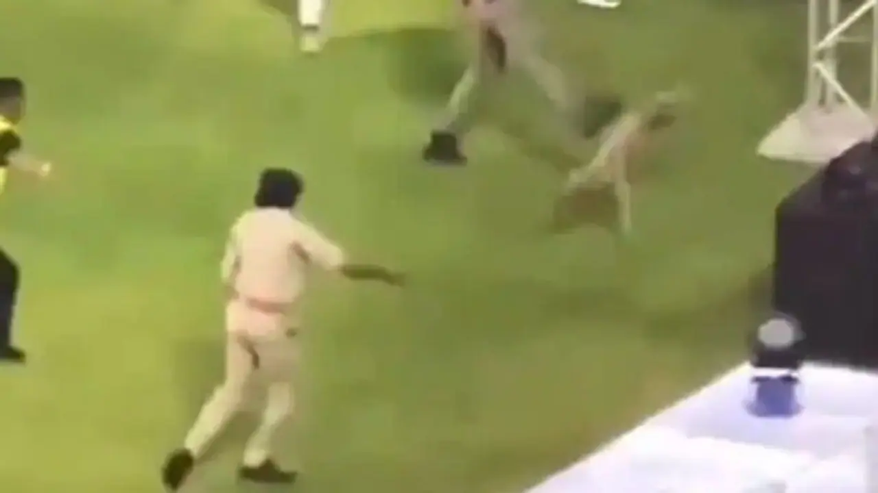 IPL 2024: Outrage over dog kicking incident during GT vs MI ensues; animal activists demand action (WATCH) IPL 2024: Outrage over dog kicking incident during GT vs MI ensues; animal activists demand action (WATCH)