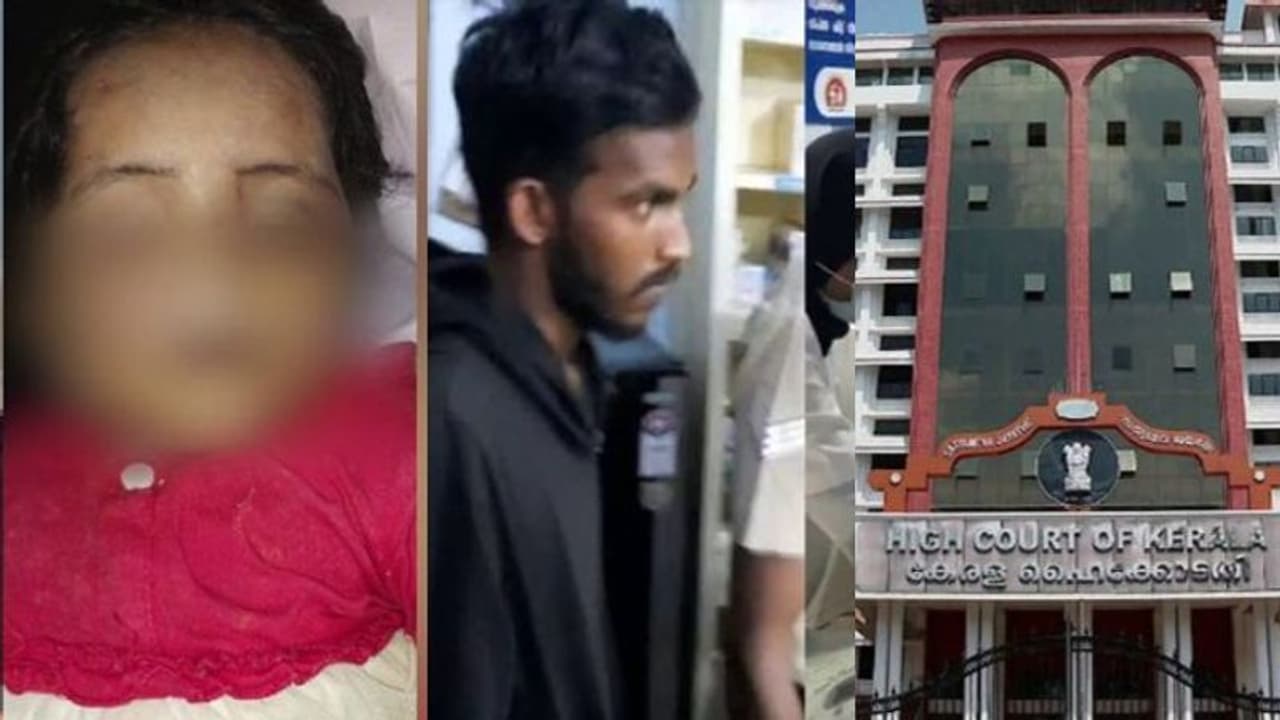 'മനസാക്ഷിയെ ഞെട്ടിപ്പിക്കുന്ന സംഭവം'; കാളികാവിലെ രണ്ടര വയസുകാരിയുടെ കൊലപാതകത്തിൽ ഇടപെട്ട് ഹൈക്കോടതി 'മനസാക്ഷിയെ ഞെട്ടിപ്പിക്കുന്ന സംഭവം'; കാളികാവിലെ രണ്ടര വയസുകാരിയുടെ കൊലപാതകത്തിൽ ഇടപെട്ട് ഹൈക്കോടതി