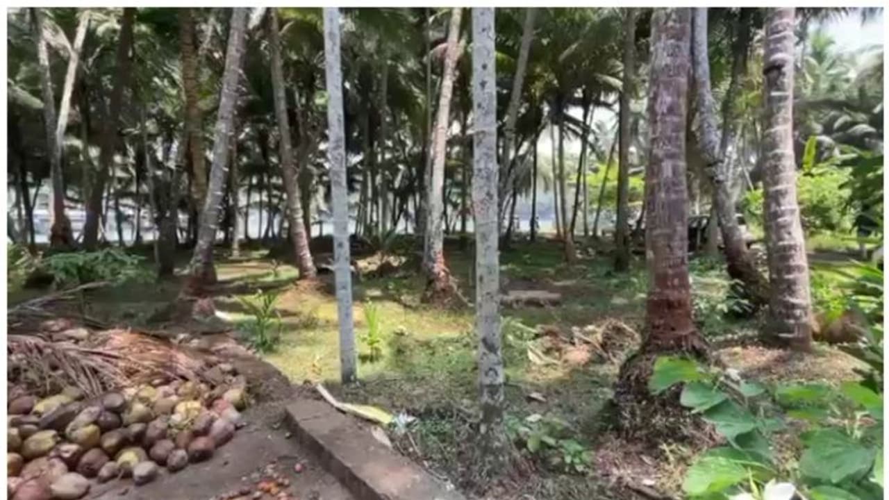 കാസർകോട് പാലായിയിലെ ഊരുവിലക്ക് ആരോപണം; 3 പരാതികളിൽ 9 പേർക്കെതിരെ കേസ് കാസർകോട് പാലായിയിലെ ഊരുവിലക്ക് ആരോപണം; 3 പരാതികളിൽ 9 പേർക്കെതിരെ കേസ്