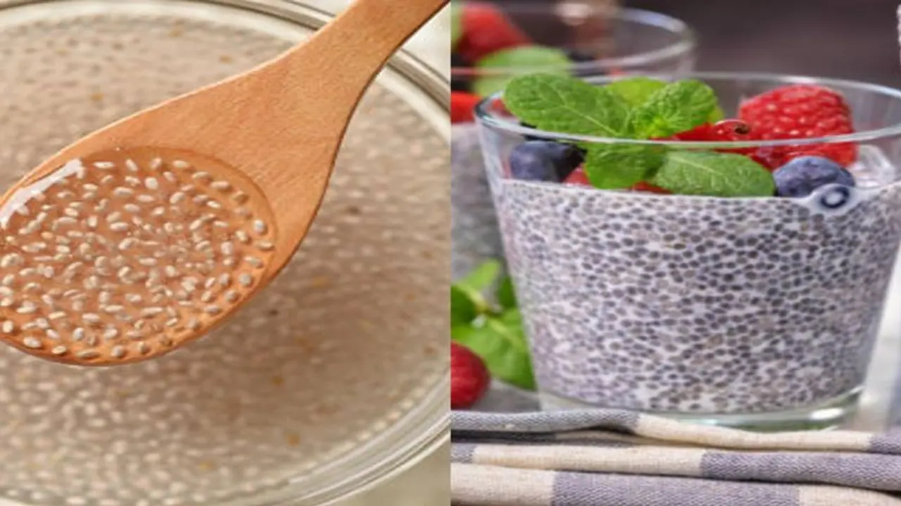 5 Different ways to use chia seed in daily routine