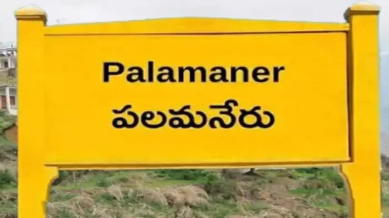 పలమనేరు అసెంబ్లీ ఎన్నికల ఫలితాలు 2024