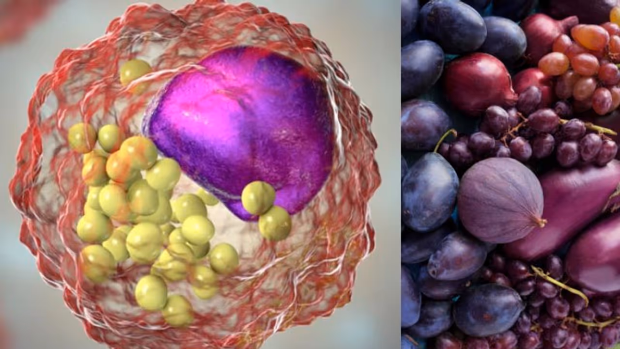 പര്പ്പിള് നിറത്തിലുള്ള ഈ പഴങ്ങള് കഴിക്കൂ, കൊളസ്ട്രോള് കുറയ്ക്കാം... പര്പ്പിള് നിറത്തിലുള്ള ഈ പഴങ്ങള് കഴിക്കൂ, കൊളസ്ട്രോള് കുറയ്ക്കാം...