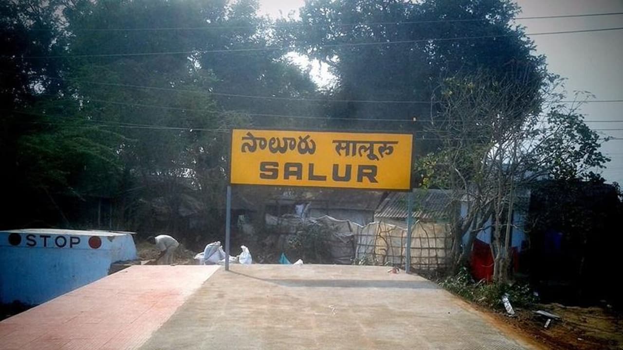 సాలూరు అసెంబ్లీ ఎన్నికల ఫలితాలు 2024