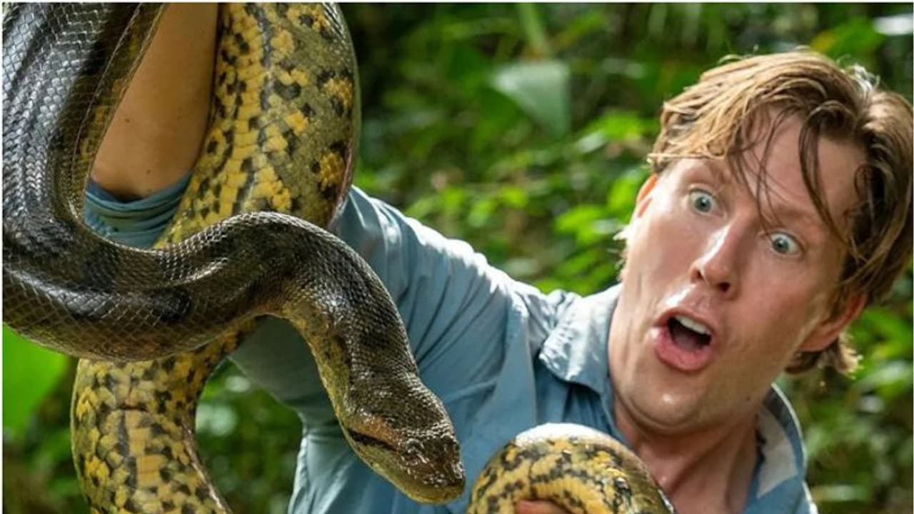 26 അടി നീളം, 220 കിലോ തൂക്കം, ലോകത്തെ ഏറ്റവും വലിയ പാമ്പ് അനാ ജൂലിയ ചത്ത നിലയിൽ; വെടിയേറ്റെന്ന് സംശയം 26 അടി നീളം, 220 കിലോ തൂക്കം, ലോകത്തെ ഏറ്റവും വലിയ പാമ്പ് അനാ ജൂലിയ ചത്ത നിലയിൽ; വെടിയേറ്റെന്ന് സംശയം