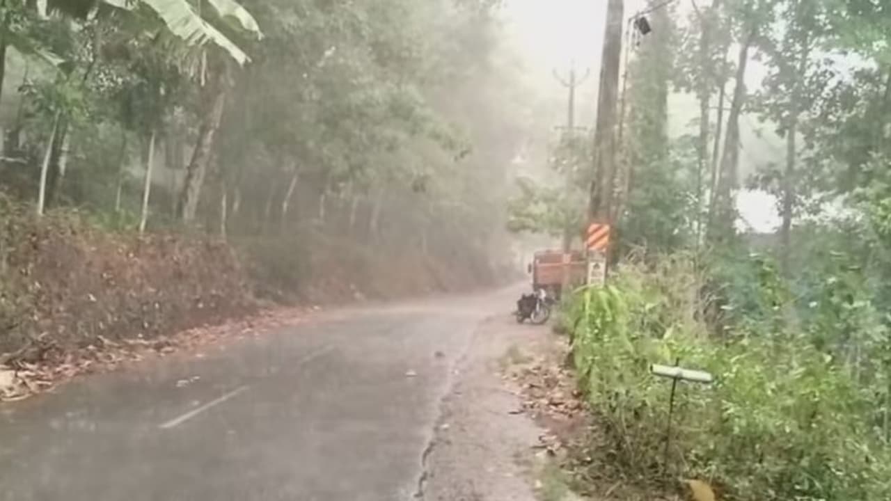 ഓട്ടോറിക്ഷയുടെ മുകളില്‍ മരം വീണ് 25കാരന് ഗുരുതര പരിക്ക്...