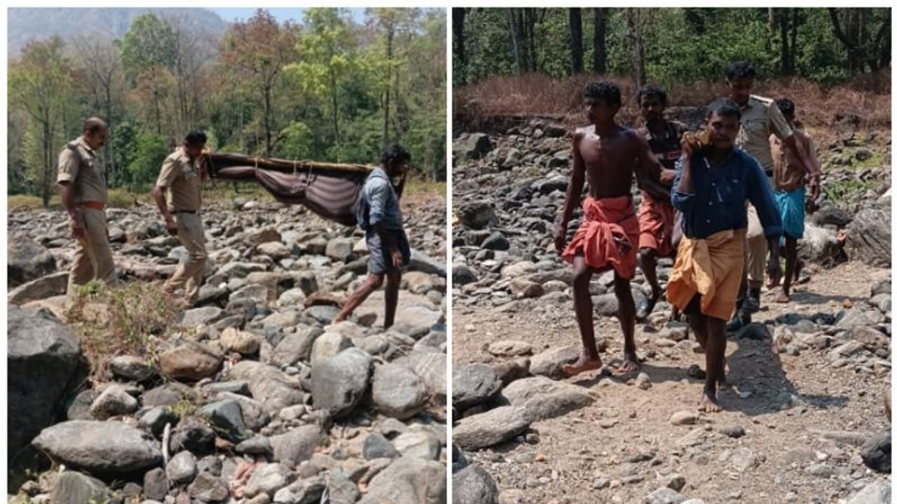 കാട്ടാനയുടെ ആക്രമണം: യുവതിയുടെ മൃതശരീരവുമായി പൊലീസും ബന്ധുക്കളും ഉള്ക്കാട്ടിലൂടെ നടന്നത് 20 കിലോമീറ്റര് കാട്ടാനയുടെ ആക്രമണം: യുവതിയുടെ മൃതശരീരവുമായി പൊലീസും ബന്ധുക്കളും ഉള്ക്കാട്ടിലൂടെ നടന്നത് 20 കിലോമീറ്റര്