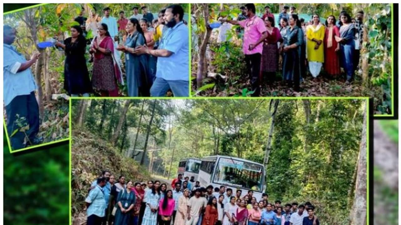 ഡിജെയും ഗാനമേളയും സഹിതം ആനവണ്ടിയിൽ ഒരു ഉല്ലാസ യാത്ര; ഒപ്പം പക്ഷികൾക്കായി തണ്ണീർക്കുടങ്ങൾ ഒരുക്കി കരുതലായി ഡിജെയും ഗാനമേളയും സഹിതം ആനവണ്ടിയിൽ ഒരു ഉല്ലാസ യാത്ര; ഒപ്പം പക്ഷികൾക്കായി തണ്ണീർക്കുടങ്ങൾ ഒരുക്കി കരുതലായി