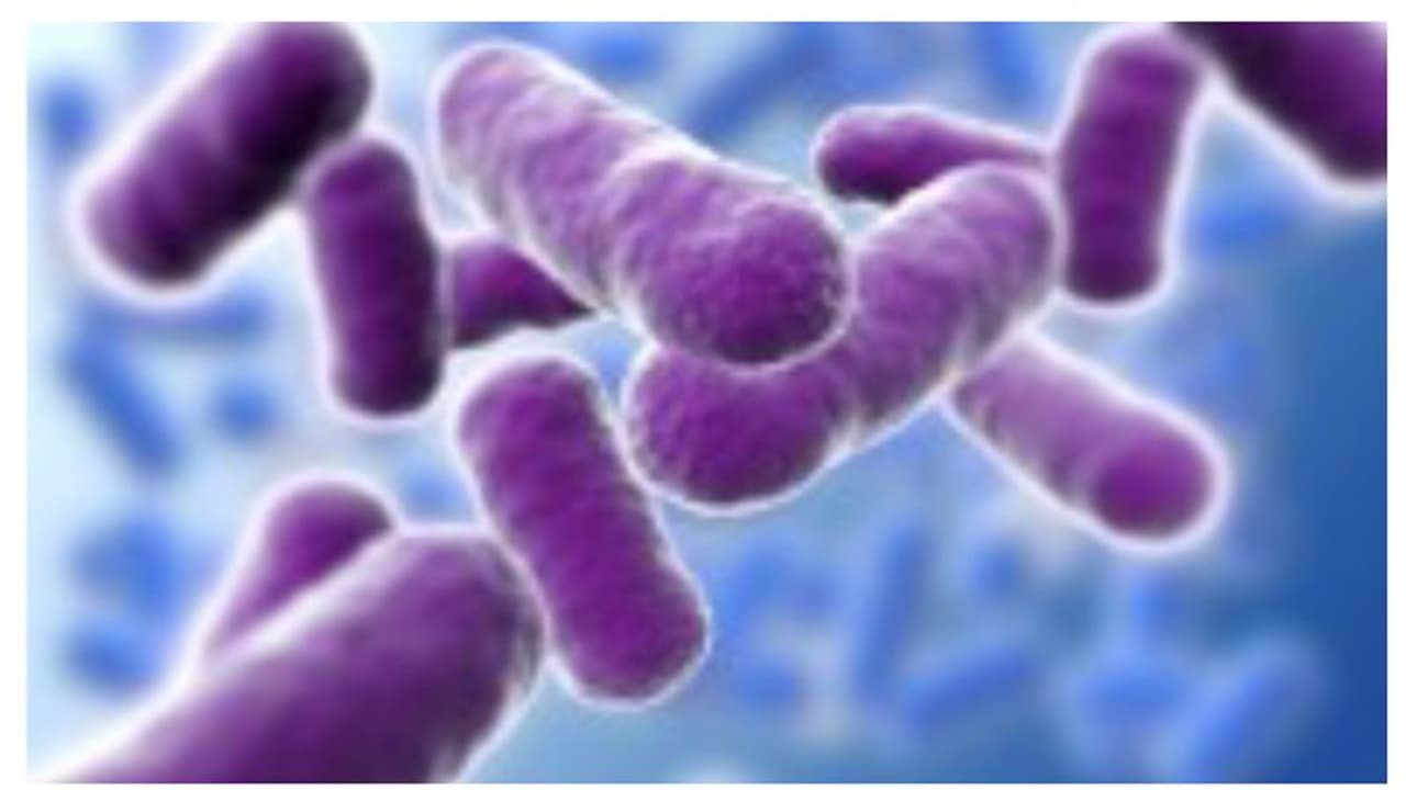 ആന്ത്രാക്സ് ഭീതി, കന്നുകാലികൾക്ക് നിരീക്ഷണം ഏർപ്പെടുത്തും, ജാഗ്രതാ നിർദേശങ്ങളുമായി തായ്ലന്റ് സർക്കാർ ആന്ത്രാക്സ് ഭീതി, കന്നുകാലികൾക്ക് നിരീക്ഷണം ഏർപ്പെടുത്തും, ജാഗ്രതാ നിർദേശങ്ങളുമായി തായ്ലന്റ് സർക്കാർ