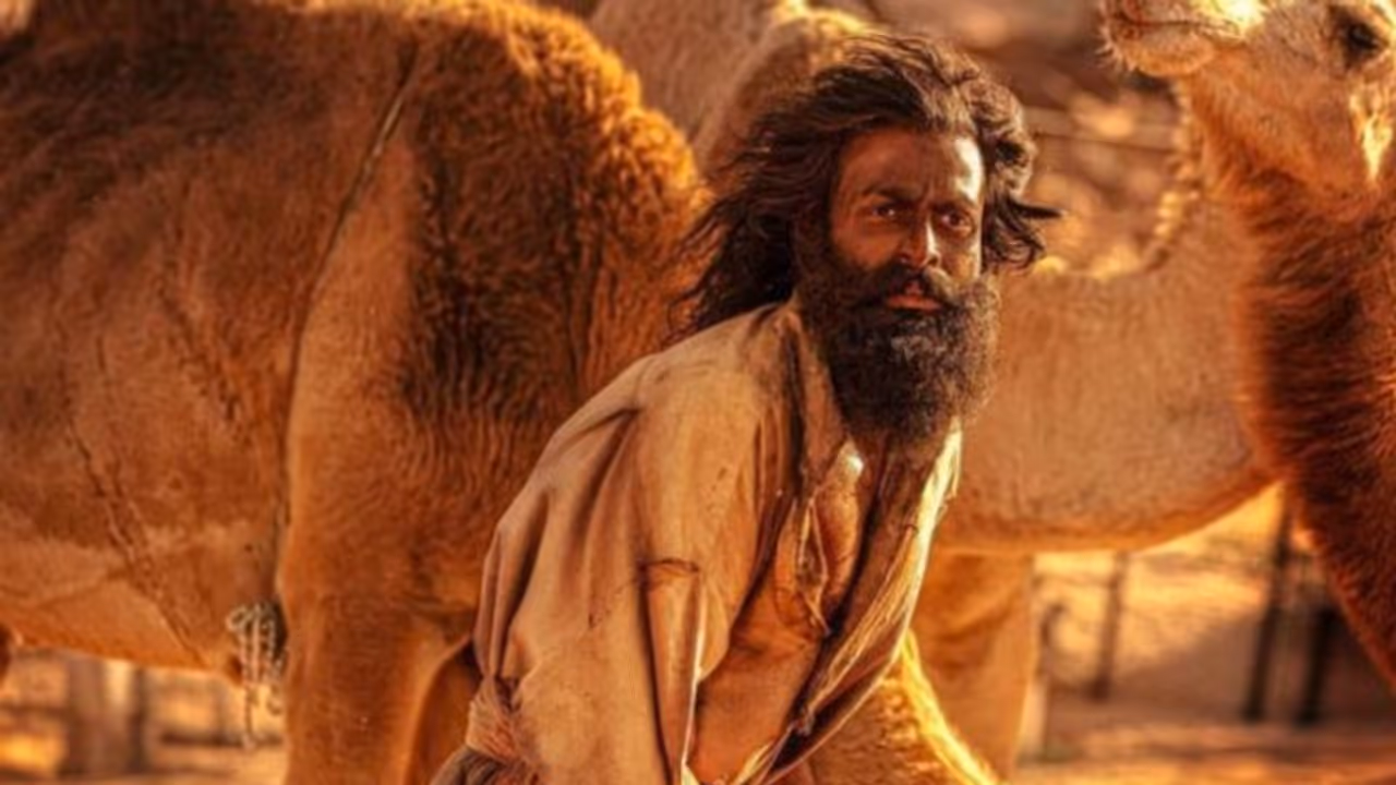 ഒന്നും രണ്ടുമല്ല, വേണ്ടത് 120 കോടി !, പൃഥ്വിരാജ് ആ കടമ്പ കടക്കുമോ ? ആടുജീവിതത്തെ ഉറ്റുനോക്കി മോളിവുഡ് ഒന്നും രണ്ടുമല്ല, വേണ്ടത് 120 കോടി !, പൃഥ്വിരാജ് ആ കടമ്പ കടക്കുമോ ? ആടുജീവിതത്തെ ഉറ്റുനോക്കി മോളിവുഡ്