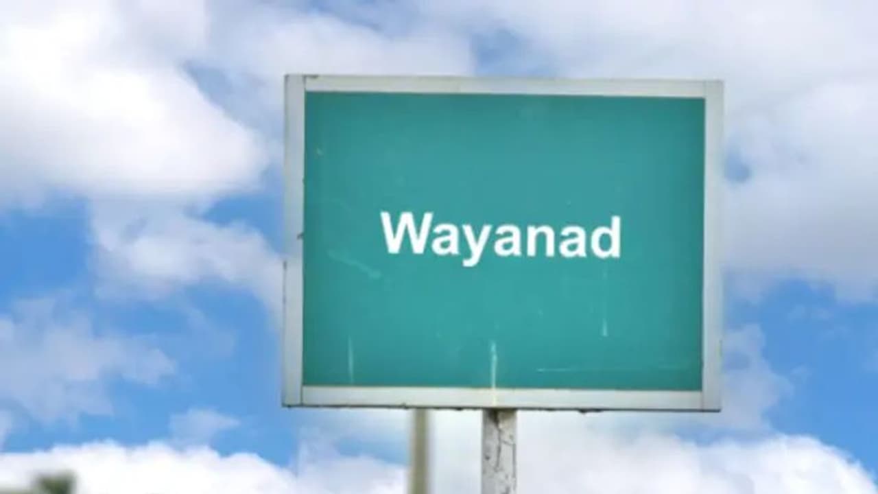 వయనాడ్ లోక్సభ ఎన్నికల ఫలితాలు 2024 వయనాడ్ లోక్సభ ఎన్నికల ఫలితాలు 2024