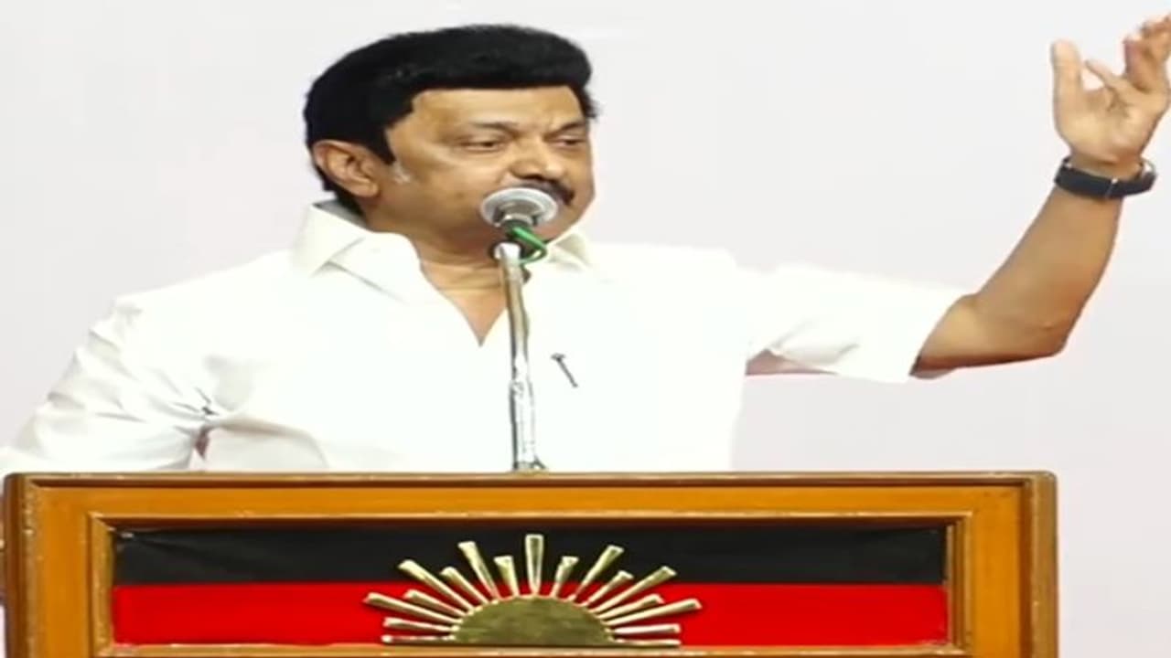 நிர்மலா சீதாராமன், ராமதாஸை வறுத்தெடுத்த முதல்வர் ஸ்டாலின்!