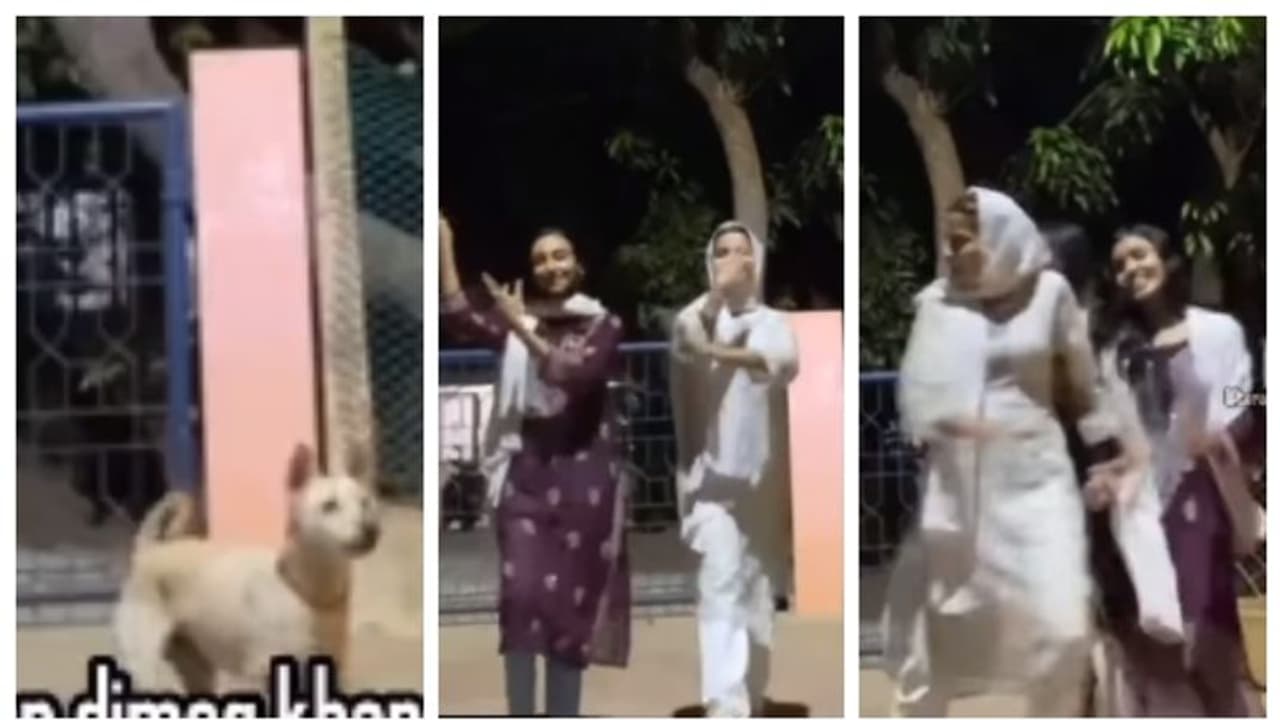 'ചേച്ചിമാരെ ഞാനൂടെ...', 'ന്‍റുമ്മാ...'; ഷൂട്ടിനിടെ തെരുവ് നായ എത്തിയ റീല്‍സ് വൈറല്‍ !