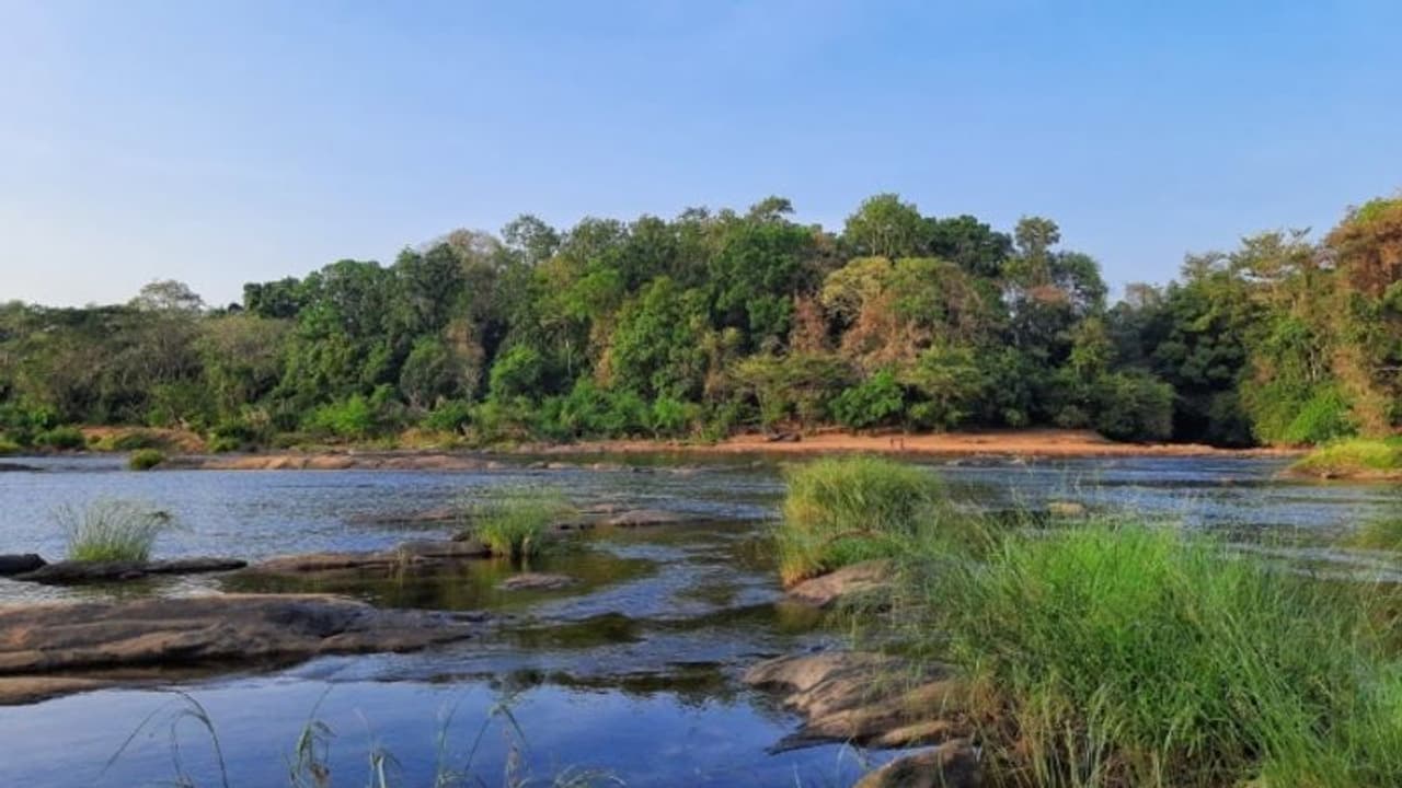 ಮಂಗಳೂರು: ಮಗುವಿನೊಂದಿಗೆ ನದಿಗೆ ಹಾರಿ ತಾಯಿ ಆತ್ಮಹತ್ಯೆ ಮಂಗಳೂರು: ಮಗುವಿನೊಂದಿಗೆ ನದಿಗೆ ಹಾರಿ ತಾಯಿ ಆತ್ಮಹತ್ಯೆ