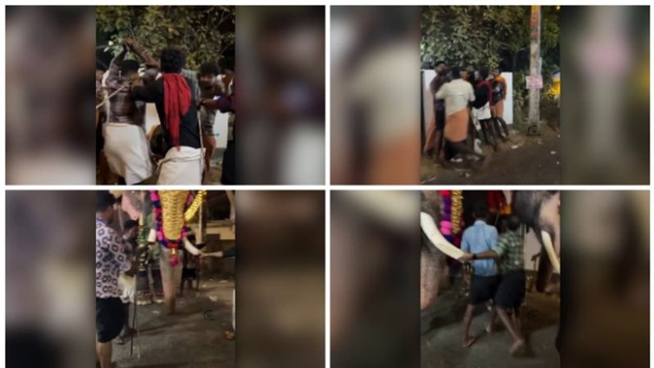 തൃശ്ശൂരിൽ പാപ്പാൻമാർ തമ്മിലടിച്ചു; കോട്ടയം സ്വദേശിയായ ഒരാൾക്ക് പരിക്കേറ്റു തൃശ്ശൂരിൽ പാപ്പാൻമാർ തമ്മിലടിച്ചു; കോട്ടയം സ്വദേശിയായ ഒരാൾക്ക് പരിക്കേറ്റു