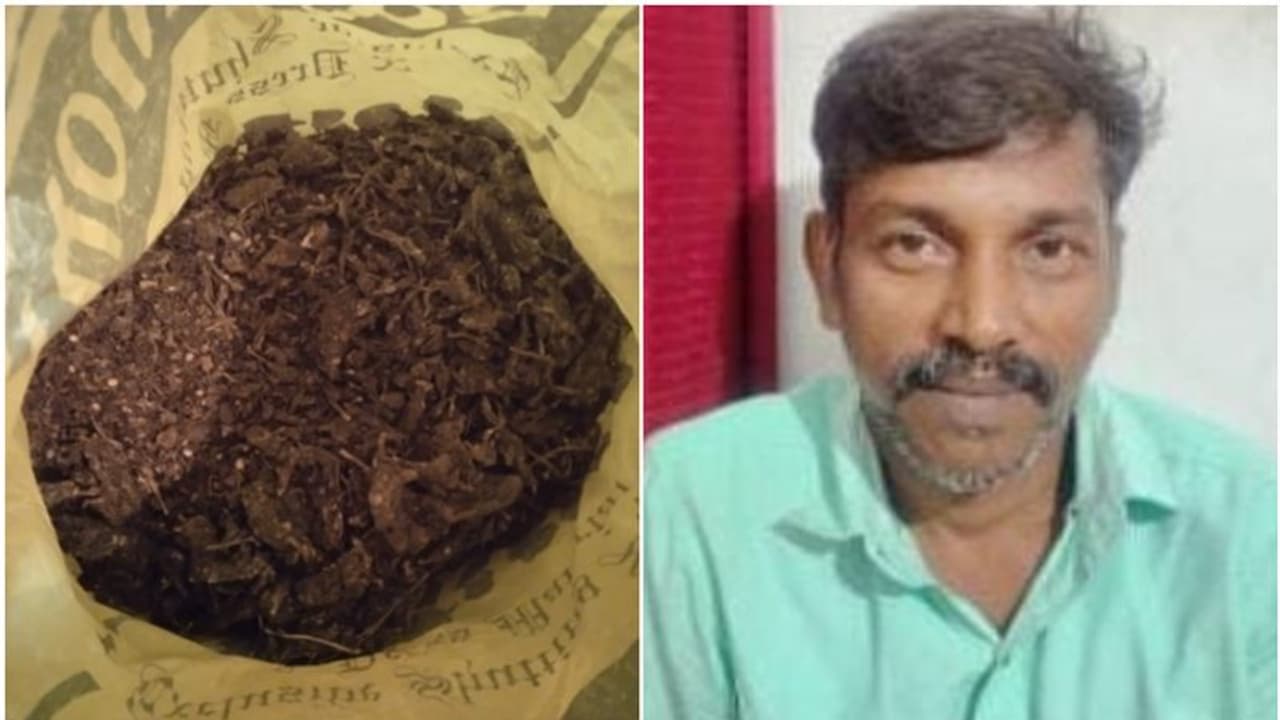 ഇലക്ട്രോണിക് ത്രാസ് അടക്കം വൻ സെറ്റപ്പിൽ ലോഡ്ജിൽ മുറി എടുത്ത് താമസിച്ച് കഞ്ചാവ് വിൽപ്പന; ഒരാൾ അറസ്റ്റിൽ ഇലക്ട്രോണിക് ത്രാസ് അടക്കം വൻ സെറ്റപ്പിൽ ലോഡ്ജിൽ മുറി എടുത്ത് താമസിച്ച് കഞ്ചാവ് വിൽപ്പന; ഒരാൾ അറസ്റ്റിൽ