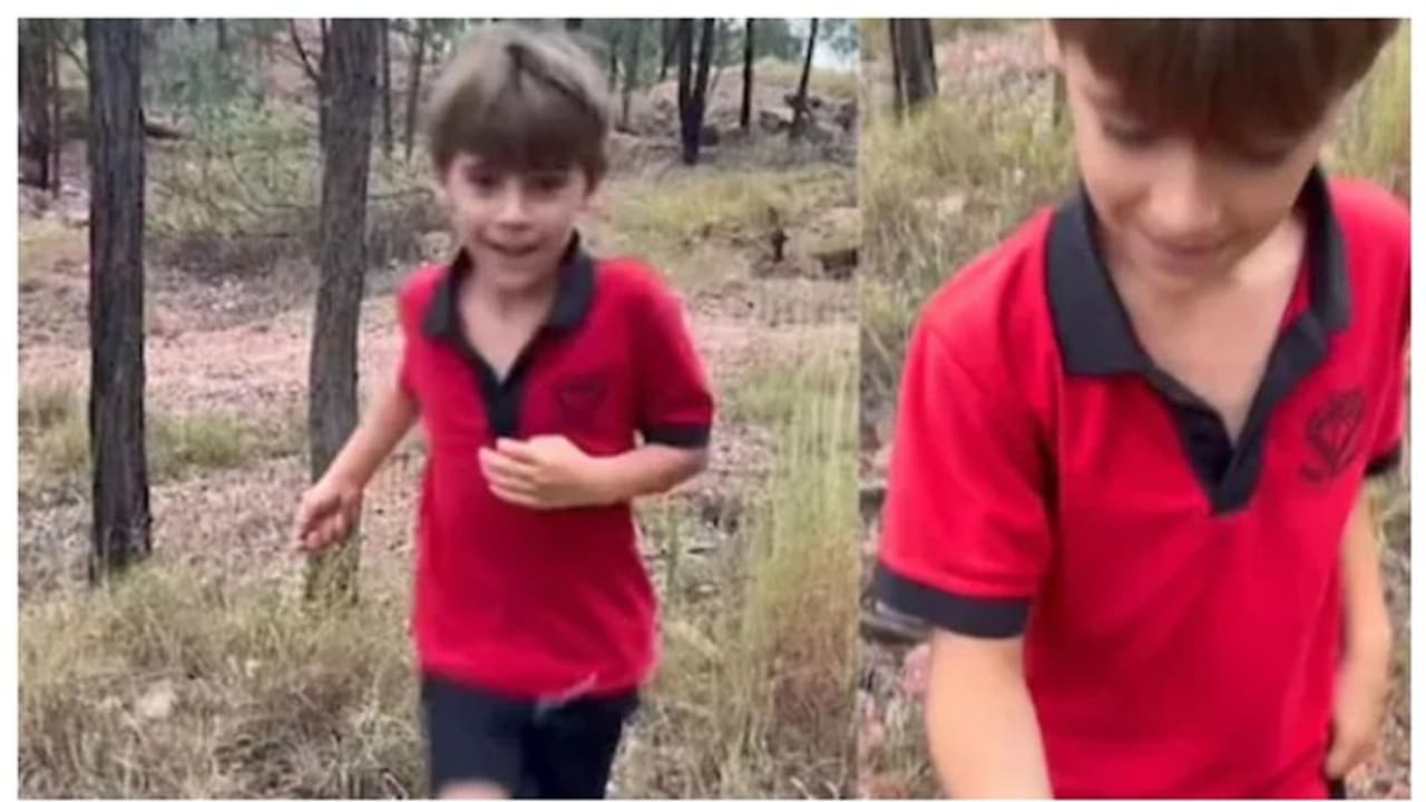 എഴുവയസുകാരന്‍ പാര്‍ക്കില്‍ പോയത് കളിക്കാന്‍; പക്ഷേ, തിരിച്ചെത്തിയത് എട്ട് ലക്ഷം രൂപ വിലയുള്ള നീലക്കല്ലുമായി