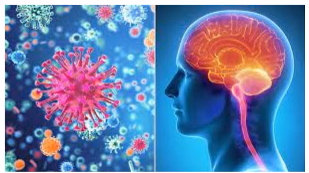 കോഴിക്കോട് വിദ്യാര്ഥിക്ക് ജപ്പാന് ജ്വരം സ്ഥിരീകരിച്ചു കോഴിക്കോട് വിദ്യാര്ഥിക്ക് ജപ്പാന് ജ്വരം സ്ഥിരീകരിച്ചു