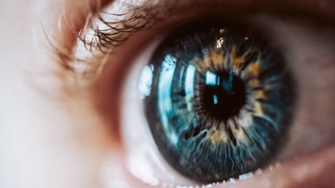 Prevention of Blindness Week 2024: 7 easy eye exercises to improve vision Prevention of Blindness Week 2024: 7 easy eye exercises to improve vision