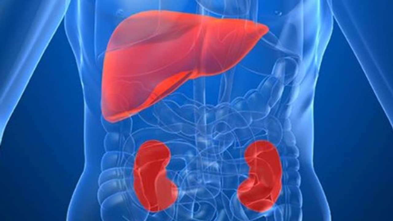 ഈ ഏഴ് ഭക്ഷണങ്ങള് നിങ്ങളുടെ കരളിന്റെയും വൃക്കയുടെയും ആരോഗ്യത്തെ നശിപ്പിക്കും... ഈ ഏഴ് ഭക്ഷണങ്ങള് നിങ്ങളുടെ കരളിന്റെയും വൃക്കയുടെയും ആരോഗ്യത്തെ നശിപ്പിക്കും...