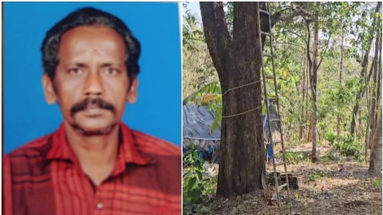 പുളിങ്ങ പറിക്കാൻ കയറിയ വയോധികൻ മരത്തില്‍ നിന്ന് വീണുമരിച്ചു