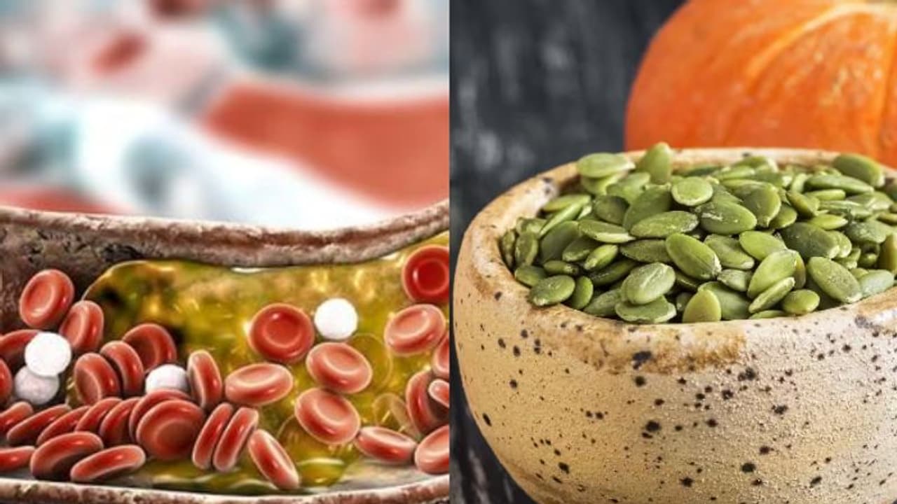 ചീത്ത കൊളസ്ട്രോള് കുറയ്ക്കണോ? ഡയറ്റില് ഉള്പ്പെടുത്താം ഈ ആറ് വിത്തുകള്... ചീത്ത കൊളസ്ട്രോള് കുറയ്ക്കണോ? ഡയറ്റില് ഉള്പ്പെടുത്താം ഈ ആറ് വിത്തുകള്...