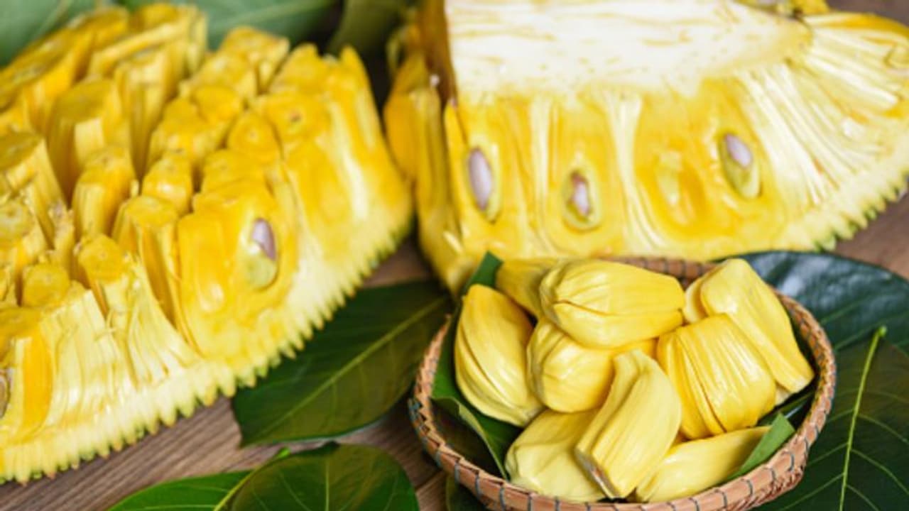 ചക്ക ഡയറ്റില് ഉള്പ്പെടുത്തൂ; അറിയാം ഈ ആരോഗ്യ ഗുണങ്ങള്... ചക്ക ഡയറ്റില് ഉള്പ്പെടുത്തൂ; അറിയാം ഈ ആരോഗ്യ ഗുണങ്ങള്...