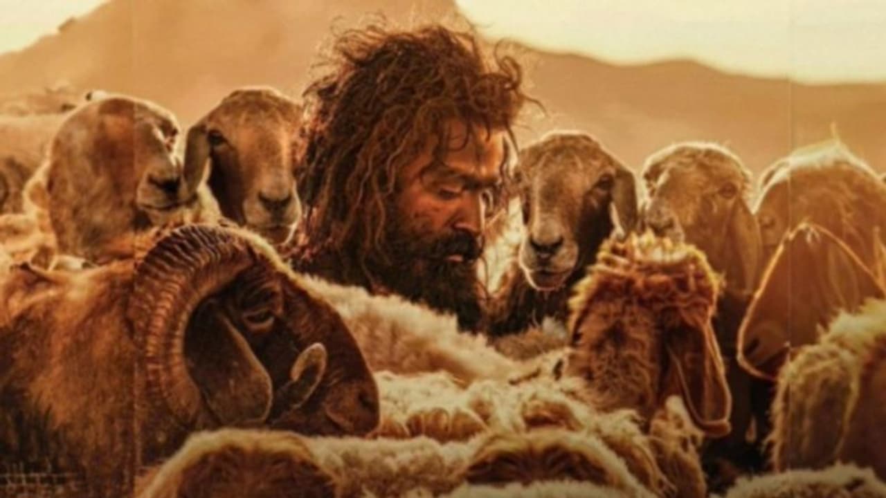 ഞായറാഴ്‍ച പൃഥ്വിരാജിന്റെ ആടുജീവിതം നേടിയത്, കളക്ഷൻ കണക്കുകള്‍ കേട്ട് ഞെട്ടി മോളിവുഡ്