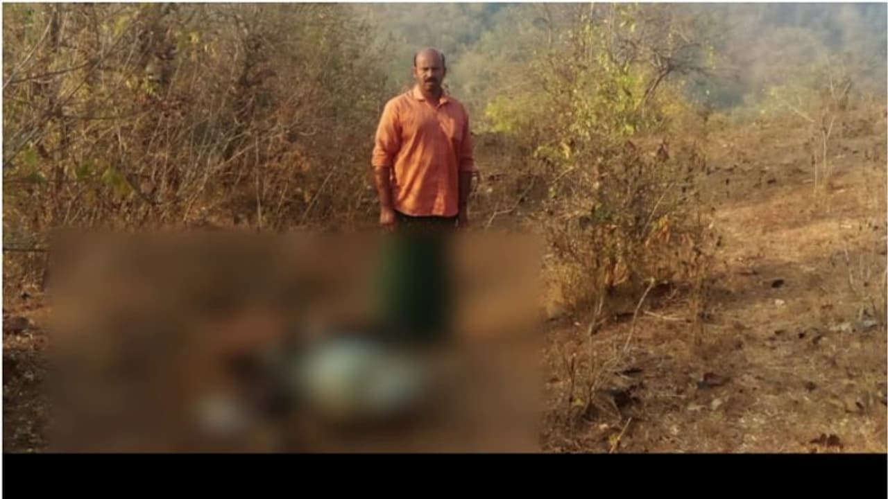 അഗളിയിൽ പുലിയിറങ്ങി, പശുക്കുട്ടിയെ കൊന്നു, വീടിന്റെ ജനലും തകർത്തു അഗളിയിൽ പുലിയിറങ്ങി, പശുക്കുട്ടിയെ കൊന്നു, വീടിന്റെ ജനലും തകർത്തു