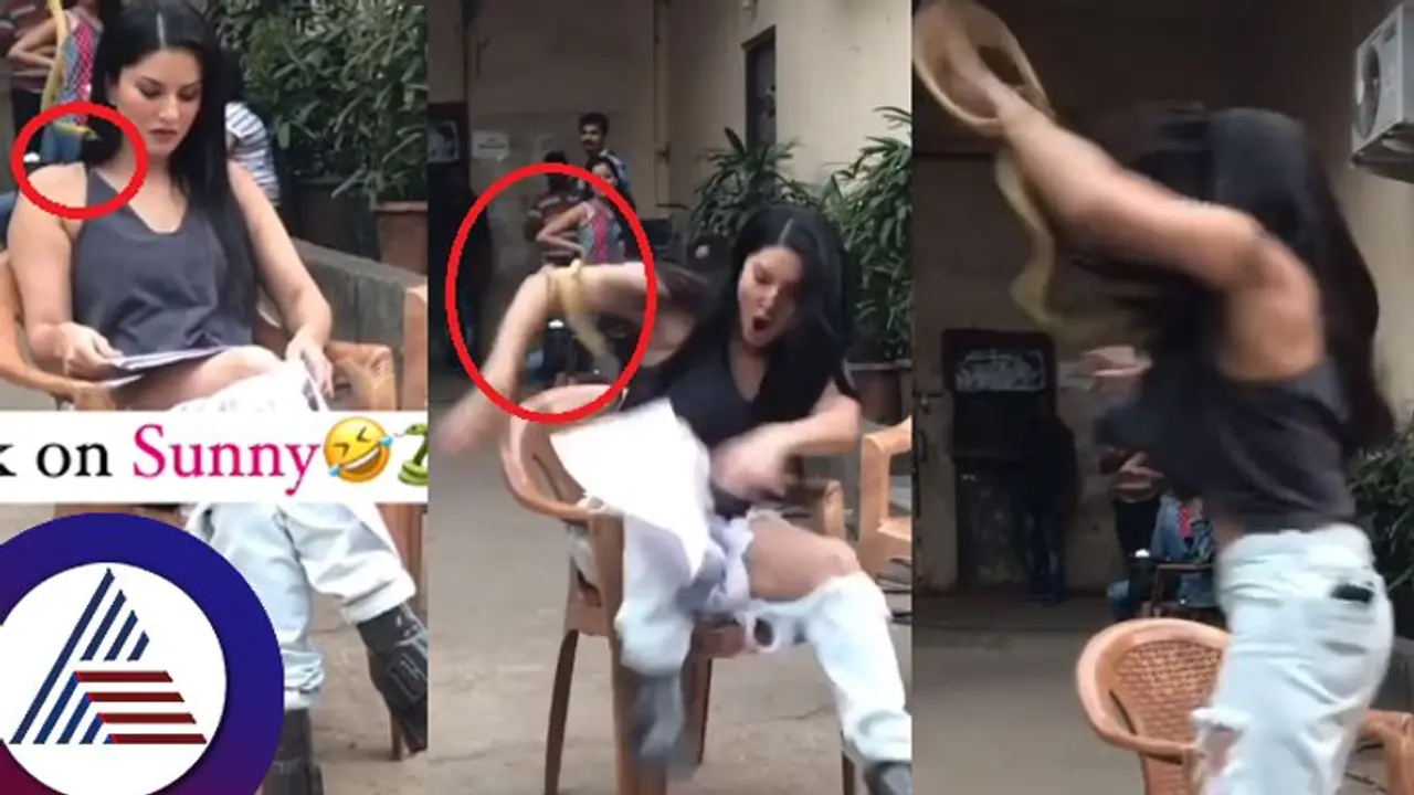 ಸನ್ನಿ ಲಿಯೋನ್ ಮೇಲೆರಗಿದ ಹಾವು: ಜೀವ ಭಯದಿಂದ ಹಾರಿದ ನಟಿ ವಿಡಿಯೋ ವೈರಲ್ ಸನ್ನಿ ಲಿಯೋನ್ ಮೇಲೆರಗಿದ ಹಾವು: ಜೀವ ಭಯದಿಂದ ಹಾರಿದ ನಟಿ ವಿಡಿಯೋ ವೈರಲ್